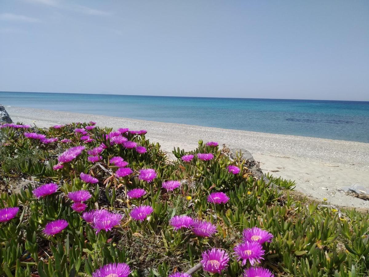 Atelier Bed&Bed Otel Messina Dış mekan fotoğraf
